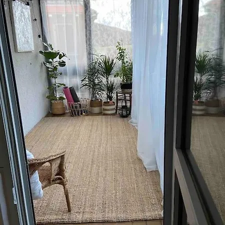 Le Faucon Du Donon Apartment *