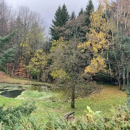 アパート Le Faucon Du Donon Grandfontaine